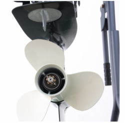 large T40JBML K PARSUN BALIDIVESHOP 2